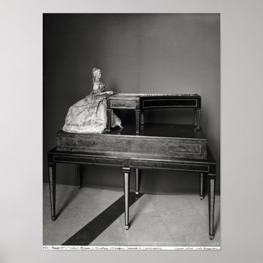 Dulcimer Player Poster (Vorne)