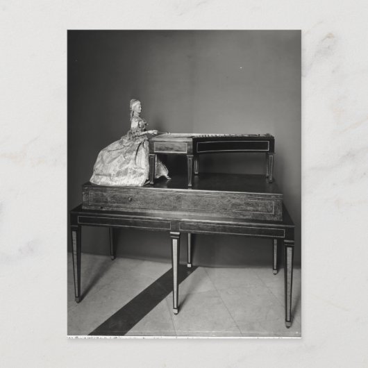 Dulcimer Player Postkarte (Vorderseite)