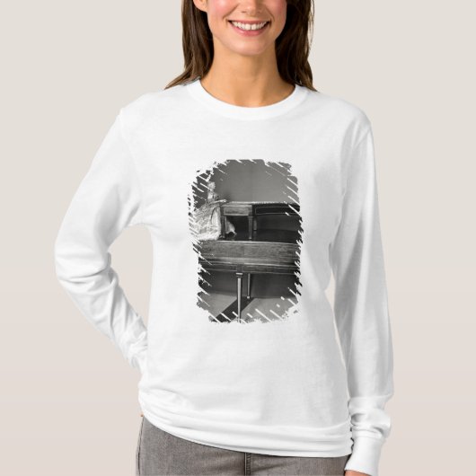 Dulcimer-Spieler T-Shirt (Vorderseite)