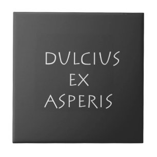 Dulcius ex asperis fliese