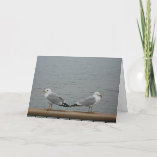 "Duluth Seagulls" Thank You Card Karte (Vorderseite)