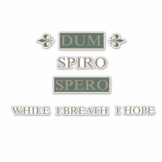 Dum spiro spero aufkleber (Vorderseite)