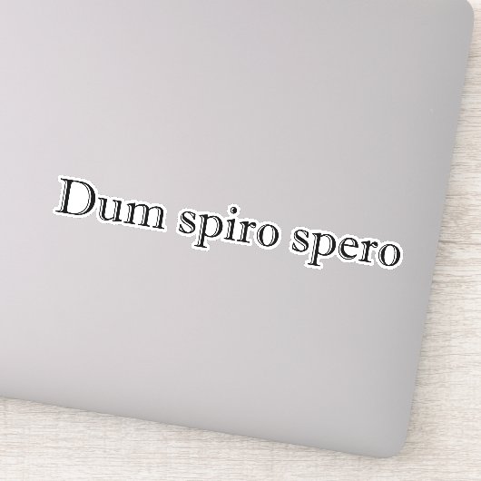 dum spiro spero aufkleber (Detail)