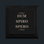 Dum spiro spero erinnerungskiste<br><div class="desc">dum spiro spero - bedeutet "Während ich atme, hoffe ich" auf lateinisch und ist eine moderne Paraphrase der Ideen, die in zwei alten Schriftstellern, Theocritus und Cicero, überleben. Es ist ein Motto von verschiedenen Orten, Familien und Organisationen. Diese lateinische Phrase Vintage Illustration mit phantastischen bedrückten Typografie Schriftart Schrift ist ein...</div>