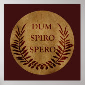 dum spiro spero, latin Phrase Poster (Vorne)