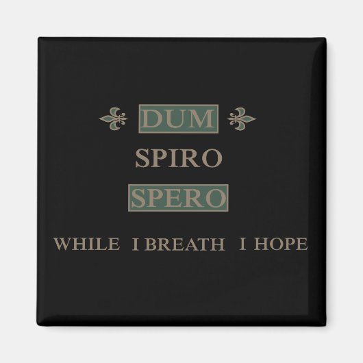 Dum spiro spero magnet (Vorne)