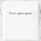 dum spiro spero ovaler aufkleber (Tasche)