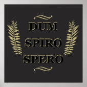 Dum spiro spero poster (Vorne)