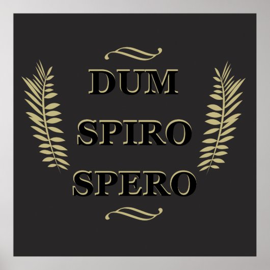 Dum spiro spero poster (Vorne)