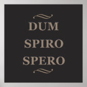 Dum spiro spero poster (Vorne)