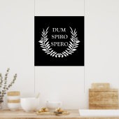 dum spiro spero poster (Küche)