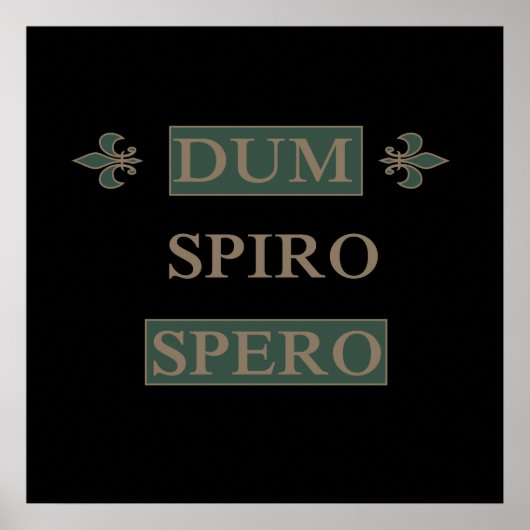 dum spiro spero poster (Vorne)