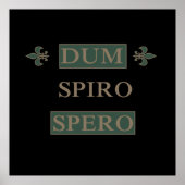 dum spiro spero poster (Vorne)
