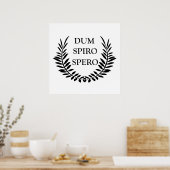 Dum spiro spero poster (Küche)