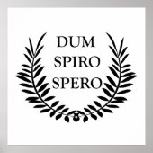 Dum spiro spero poster (Vorne)