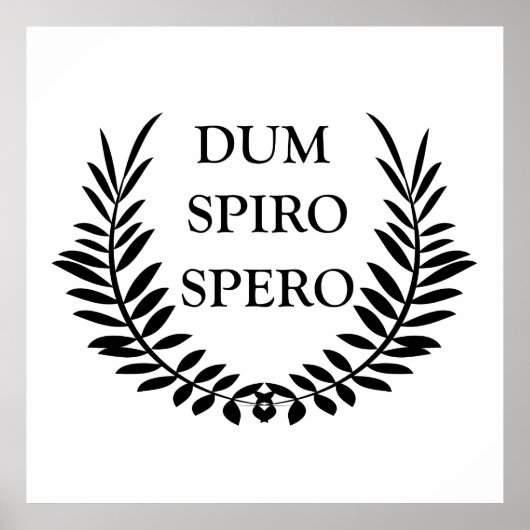 Dum spiro spero poster (Vorne)