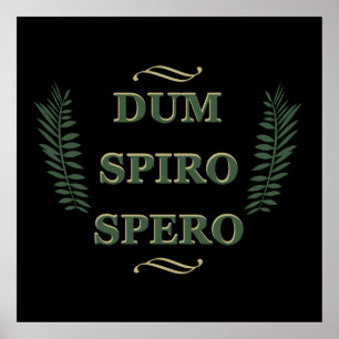 dum spiro spero poster