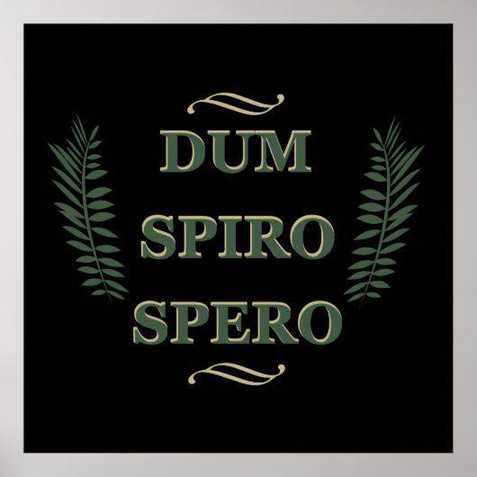 dum spiro spero poster (Vorne)