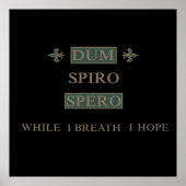 Dum spiro spero poster (Vorne)