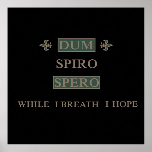 Dum spiro spero poster (Vorne)