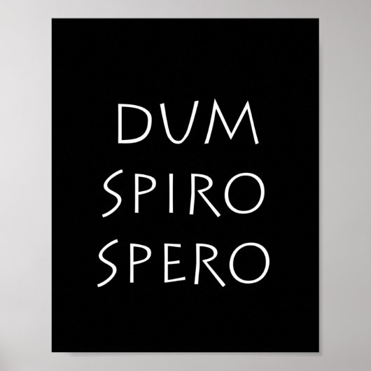 Dum spiro spero poster (Vorne)