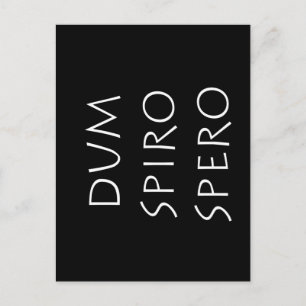 Dum spiro spero postkarte