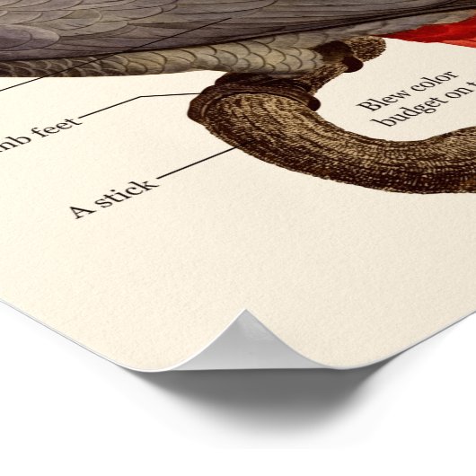 Dumb Bird-Anatomie Poster (Ecke)