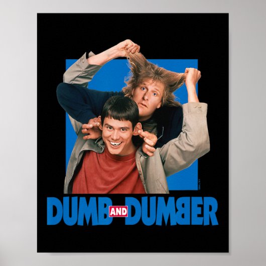 Dumb und Dumber - Lloyd Christmas und Harry Dunne Poster (Vorne)