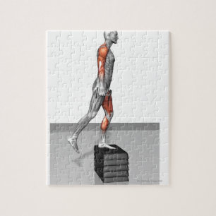 Dumbbell steigern 4 puzzle