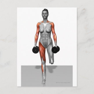 Dumbell Single Leg Deadlift 4 Postkarte