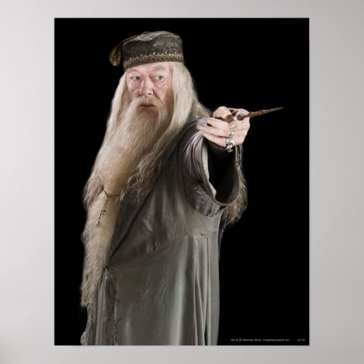 Dumbledore Poster (Vorne)
