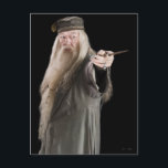 Dumbledore Postkarte<br><div class="desc">Harry Potter und der Halbblutprinz</div>