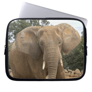 Dumbo Electronics Laptop Sleeve