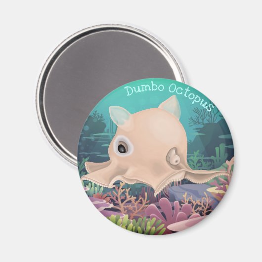 Dumbo Octopus Magnet (Vorderseite/Rückseite)
