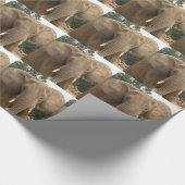 Dumbo Packpapier (Ecke)