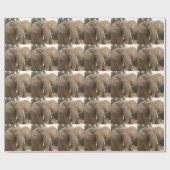 Dumbo Packpapier (Flach)
