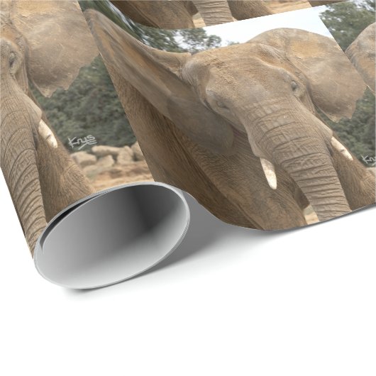 Dumbo Packpapier (Rolleneckpunkt)