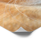 Dumbo Rat Poster (Ecke)