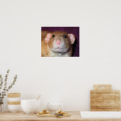 Dumbo Rat Poster (Küche)
