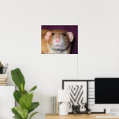 Dumbo Rat Poster (Heimbüro)