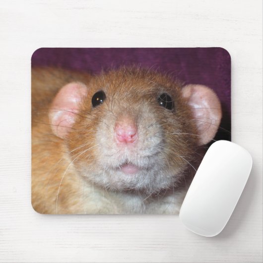 Dumbo Ratte Mousepad (Mit Mouse)