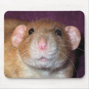 Dumbo Ratte Mousepad