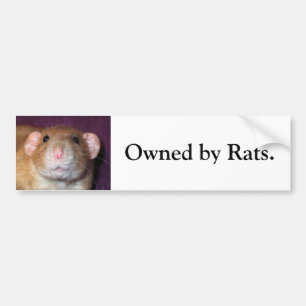 Dumbo-Ratten-Aufkleber Autoaufkleber