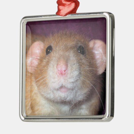 Dumbo Ratten-Verzierung Ornament Aus Metall (Links)