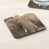 Dumbo Set mit 6 Untersetzern Untersetzer (Linke Seite)