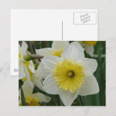 dumm postkarte (Vorne/Hinten)
