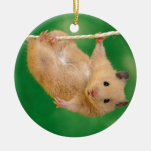 dumme Hamster Keramikornament