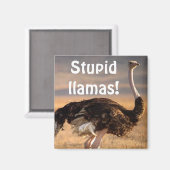 Dumme Lahmen! Magnet (Vorderseite/Rückseite)