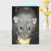 Dumme Ratte isst Kuchen Geburtstagskarte Karte (Gelbe Blume)