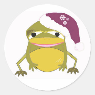 Dummer Frosch mit Weihnachtsmannmütze Runder Aufkleber